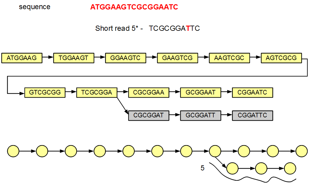 March 22 Exercise 7 Genome and Metagenome Assembly using SPAdes